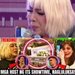 SH0CKWAVE IN SHOWBIZ: After Years of Silence, ‘Wind and Waves’ Resurfaces — Maricar Reyes Breaks Down in Tears as She Finally Reveals the DARK and PAINFUL TRUTH Behind the Infamous Hayden Kho Video That Almost Ruined Her Entire Life!